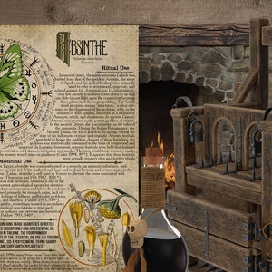 May include: A vintage, illustrated poster with a green butterfly and text about absinthe, a green liqueur. The poster is framed and hanging on a wooden wall. The image also includes a wooden torture chair, a bottle of liquid, and a skull-shaped bottle stopper.
