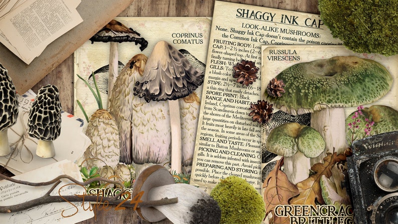 Vol 2 Edible Mushrooms Index, Double Sided Scrapbook Ephemera 3x4 Journaling Cards, Digital Collage, printable, Fungi, mycology, fungus, DIY image 9