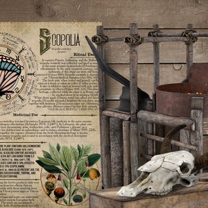 Poisonous Plants No.15 Book of Shadows Printable Pages, Witchcraft Grimoire (Digital Download) image 7