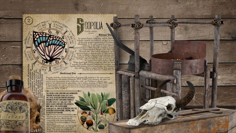 Poisonous Plants No.15 Book of Shadows Printable Pages, Witchcraft Grimoire (Digital Download) image 7