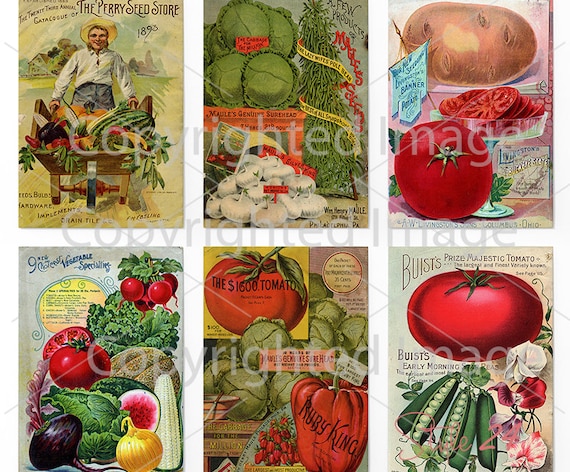 Antique Garden Vegetable Seed Packet Images, Victorian Ephemera (Digital Sheet)