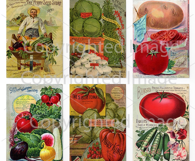 Antique Garden Vegetable Seed Packet Images, Victorian Ephemera (Digital Sheet) image 1