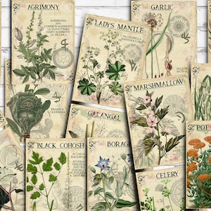 Vol 1 Herbal Index, Double Sided Scrapbook Ephemera 3x4 Journaling Cards,  Digital Collage,printable Apothecary, Medicinal Herbal, Herbarium