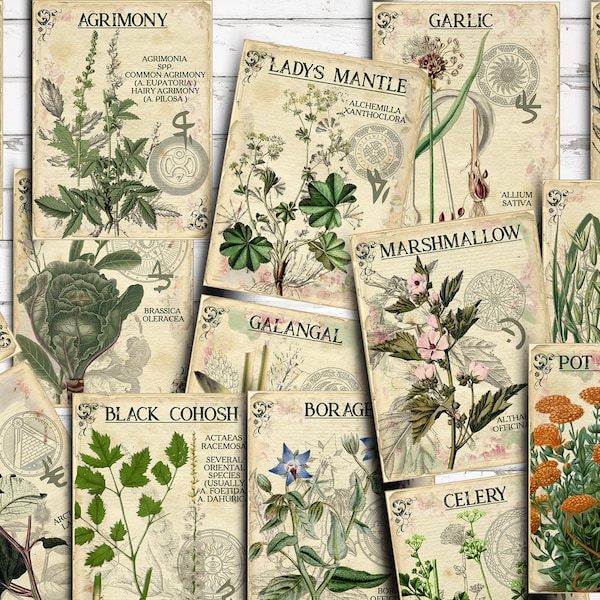 Vol 1 Herbal Index, Double Sided Scrapbook Ephemera 3x4 Journaling Cards,  Digital Collage,printable Apothecary, Medicinal Herbal, Herbarium