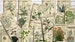 Vol 1 Herbal Index, Double Sided Scrapbook Ephemera 3x4 Journaling Cards,  Digital Collage,printable Apothecary, Medicinal Herbal, Herbarium 