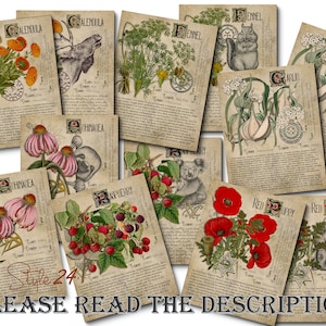 Grimoire Herbal Pages No.2, Witchcraft, Printable Book of Shadows, BOS, Digital Download of Plants, Spell Ingredient, Green Witch