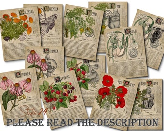 Grimoire Herbal Pages No.2, Witchcraft, Printable Book of Shadows, BOS, Digital Download of Plants, Spell Ingredient, Green Witch