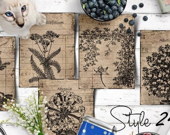 84 Antique Botanical Prints No.1 | Vintage Herbal Apothecary Cards (Digital Download)