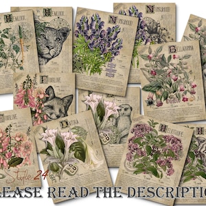 Grimoire Herbal Pages No.8, Witchcraft, Printable, Book of Shadows, BOS, Digital Download of Plants, Spell, Green Witch, Junk Journal