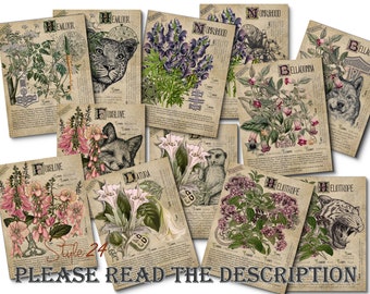 Grimoire Herbal Pages No.8, Witchcraft, Printable, Book of Shadows, BOS, Digital Download of Plants, Spell, Green Witch, Junk Journal