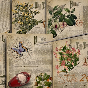 No 12, Book of Shadows,Printable pages of Ritual Poisonous Plants,Herbs, Witchcraft,Herbal, Grimoire BOS Sheets,Green Witch Scrolls of Venom
