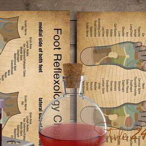 Puede incluir: Una ilustraci&oacute;n de estilo vintage del gr&aacute;fico de reflexolog&iacute;a podal, que muestra las &aacute;reas del pie que corresponden a diferentes partes del cuerpo. El gr&aacute;fico est&aacute; impreso en un fondo de papel marr&oacute;n e incluye etiquetas para cada &aacute;rea del pie. El gr&aacute;fico est&aacute; rodeado de varios suministros m&eacute;dicos, incluidos tubos de ensayo, una botella de vidrio y una botella gotero.