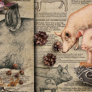 May include: An illustrated page with a vintage aesthetic, featuring a large grayscale pig head and several color illustrations of pigs. Text discusses the symbolism of pigs in various cultures, including American and Chinese zodiac references.
