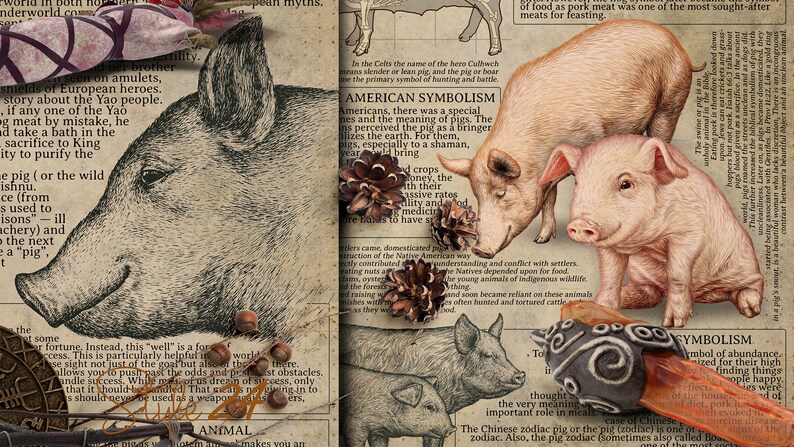 May include: An illustrated page with a vintage aesthetic, featuring a large grayscale pig head and several color illustrations of pigs. Text discusses the symbolism of pigs in various cultures, including American and Chinese zodiac references.