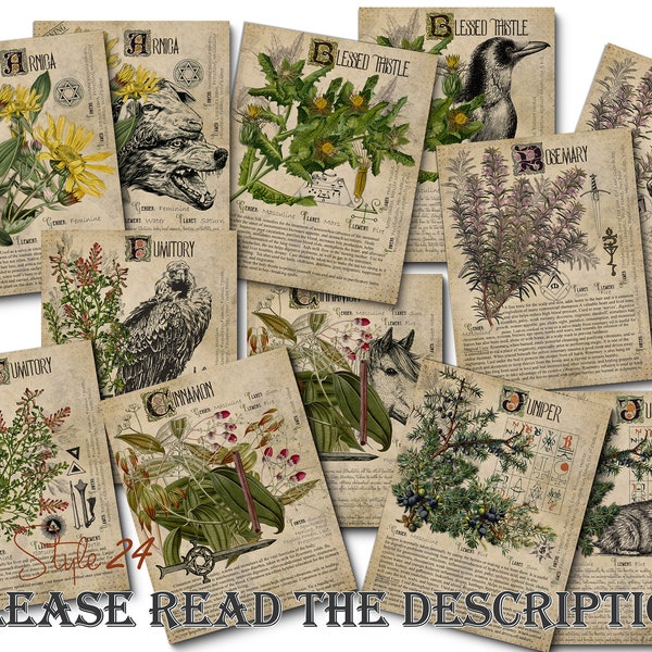 Grimoire Herbal Pages No.12, Witchcraft, Printable Book of Shadows, BOS, Digital Download of Plants, Spell, Herb Profiles, Green Witch