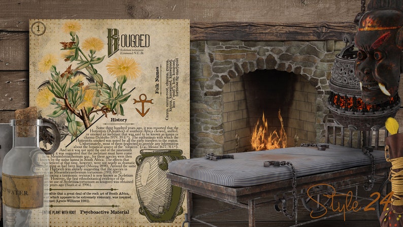 May include: A vintage botanical illustration of a plant with yellow flowers, labeled "BOUGIED" and "History". The illustration is on a cream-colored paper with a brown border. The image also includes a wooden table with a metal frame, a fireplace with a fire burning inside, and a metal incense burner with a black mask.