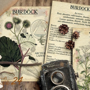 Vol 1 Herbal Index, Double Sided Scrapbook Ephemera 3x4 Journaling Cards, Digital Collage,printable Apothecary, Medicinal Herbal, Herbarium image 6
