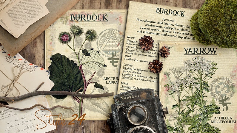 Vol 1 Herbal Index, Double Sided Scrapbook Ephemera 3x4 Journaling Cards, Digital Collage,printable Apothecary, Medicinal Herbal, Herbarium image 6