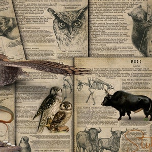 Druckbare Tiersymbiologie 2, Buch der Schatten - Krafttier, Totemtier, Krafttier, keltische Symbolik, Mythologie, Folklore, BOS, DIY