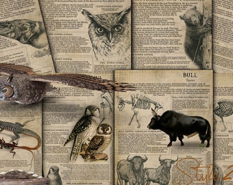 May include: A collage of vintage illustrations of animals, including an owl, a bear, a bull, and a lizard. The illustrations are in black and white and have a rustic, antique aesthetic. The text on the pages describes the symbolism and mythology of each animal.