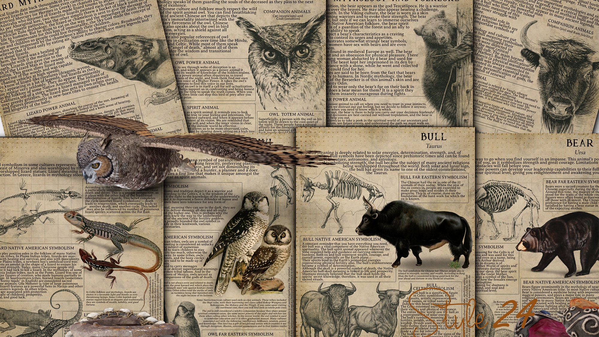 Printable Animal Symbiology 2 Book of Shadows Spirit - Etsy