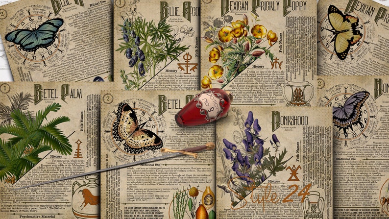 May include: A collection of vintage botanical illustrations featuring various plants, flowers, and butterflies. Each illustration is accompanied by text describing the plant's history, folk names, and medicinal uses. The illustrations are printed on aged paper with a parchment-like texture.