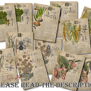 Grimoire Herbal Pages No.21, Witchcraft, Printable Book of Shadows, BOS, Digital Download of Plants, Spell, Herb Profiles, Green Witch