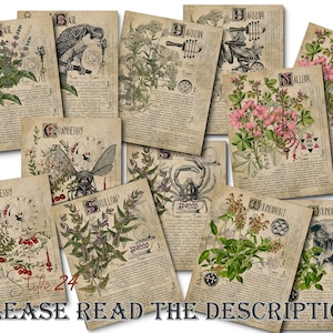 Grimoire Herbal Pages No.15, Witchcraft, Printable Book of Shadows, BOS, Digital Download of Plants, Spell, Herb Profiles, Green Witch