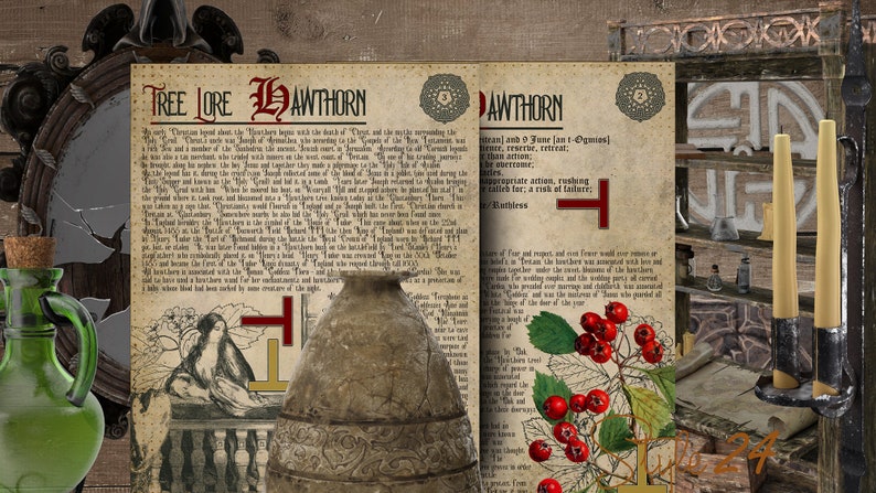 Puede incluir: Una p&aacute;gina de libro vintage ilustrada con el t&iacute;tulo "Tree Lore Hawthorn". La p&aacute;gina presenta texto sobre la historia y la tradici&oacute;n del espino blanco, junto con una ilustraci&oacute;n de una mujer arrodillada ante una cruz y una olla con un dise&ntilde;o floral. La p&aacute;gina opuesta presenta una rama de espino blanco con bayas rojas y una cruz.