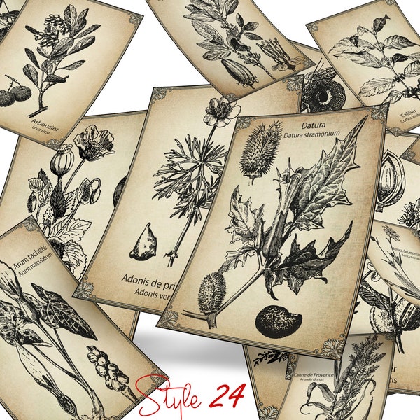 Antiquités Plantes médicinales D'apothicaire Album de coupures de journaux Cartes de journalisation Imprimables étiquettes Vintage