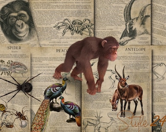 Animal Symbology Print #5, Spirit Animal Guide, Book of Shadows (Digital Download)