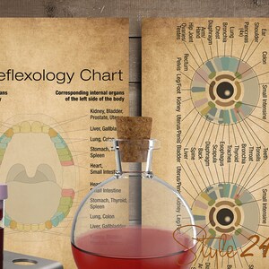 Puede incluir: Un gr&aacute;fico de estilo vintage que ilustra la reflexolog&iacute;a dental, mostrando los &oacute;rganos internos correspondientes a cada diente en los lados izquierdo y derecho de la boca. El gr&aacute;fico est&aacute; impreso en papel envejecido con un fondo marr&oacute;n. El gr&aacute;fico est&aacute; rodeado de varios viales y botellas de vidrio llenos de l&iacute;quidos rojos y amarillos.