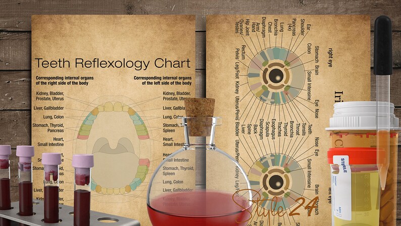 Puede incluir: Un gr&aacute;fico de estilo vintage que ilustra la reflexolog&iacute;a dental, mostrando los &oacute;rganos internos correspondientes a cada diente en los lados izquierdo y derecho de la boca. El gr&aacute;fico est&aacute; impreso en papel envejecido con un fondo marr&oacute;n. El gr&aacute;fico est&aacute; rodeado de varios viales y botellas de vidrio llenos de l&iacute;quidos rojos y amarillos.
