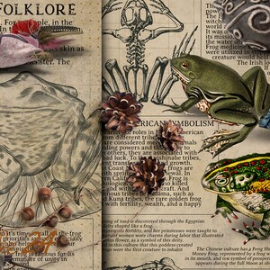 May include: An artistic collage featuring various frog illustrations, including sketches and colorful depictions. The image incorporates text about frog symbolism and folklore, with a vintage aesthetic.