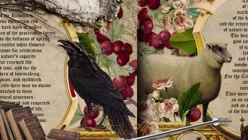 Puede incluir: Una ilustraci&oacute;n de libro vintage con un cuervo negro posado en una rama con bayas rojas y flores blancas. El texto en la p&aacute;gina dice: "La floraci&oacute;n del espino blanco marca el final seguro de los d&iacute;as oscuros del invierno, el giro de las fuerzas procreativas hacia la plenitud de la primavera. Las hermosas flores blancas son motivo de celebraci&oacute;n por la capacidad de la naturaleza para renovar la vida, y por los actos de hacer el amor, la concepci&oacute;n y el nacimiento. Los celtas no ten&iacute;an verg&uuml;enza asociada a estos procesos naturales."