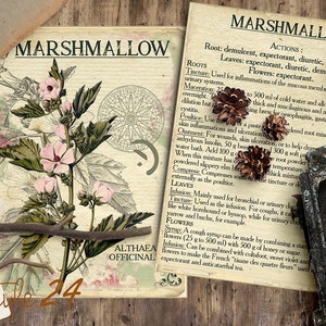 Vol 1 Herbal Index, Double Sided Scrapbook Ephemera 3x4 Journaling Cards, Digital Collage,printable Apothecary, Medicinal Herbal, Herbarium image 5