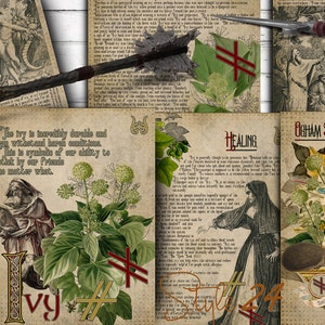May include: An assortment of vintage-style pages with botanical illustrations and text, including "Tree Lore Ivy" and "Healing." A medieval mace and a dagger are also present, suggesting a theme of historical or fantasy lore.