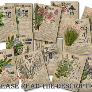 Grimoire Herbal Pages No.20, Witchcraft, Printable Book of Shadows, BOS, Digital Download of Plants, Spell, Herb Profiles, Green Witch