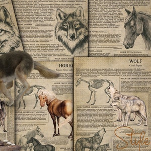 Printable Animal Symbiology 1, Book of Shadows - Spirit Animal, Totem Animal, Power Animal, Celtic Symbolism, Mythology, Folklore, BOS, DIY