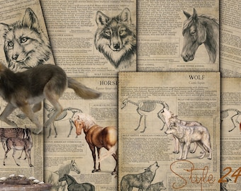 May include: A vintage style illustration of a wolf, fox, horse, and deer. The illustrations are in black and white and have text about the animals' symbolism and history. The background is a light brown color.