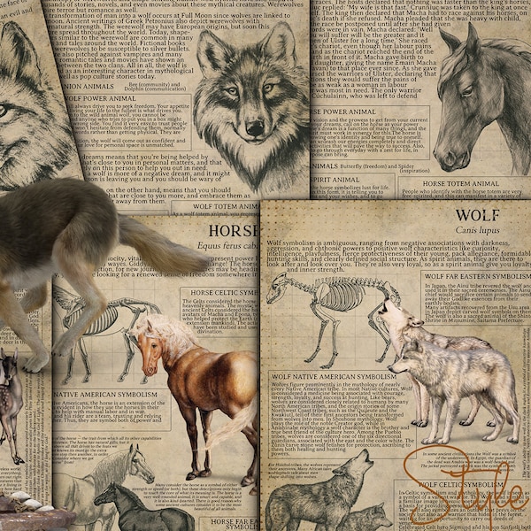 Symbiologie animale imprimable 1, Livre des ombres - Animal spirituel, Animal totem, Animal de pouvoir, Symbolisme celtique, Mythologie, Folklore, BOS, DIY