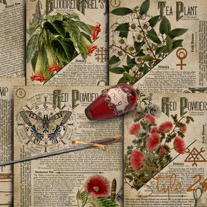 No 4, Book of Shadows, Printable pages of Ritual Poisonous Plants,Herbs, Witchcraft,Herbal, Grimoire BOS Sheets,Green Witch Scrolls of Venom