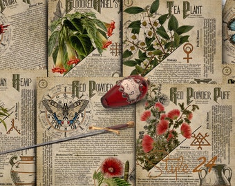 No 4, Book of Shadows, Printable pages of Ritual Poisonous Plants,Herbs, Witchcraft,Herbal, Grimoire BOS Sheets,Green Witch Scrolls of Venom