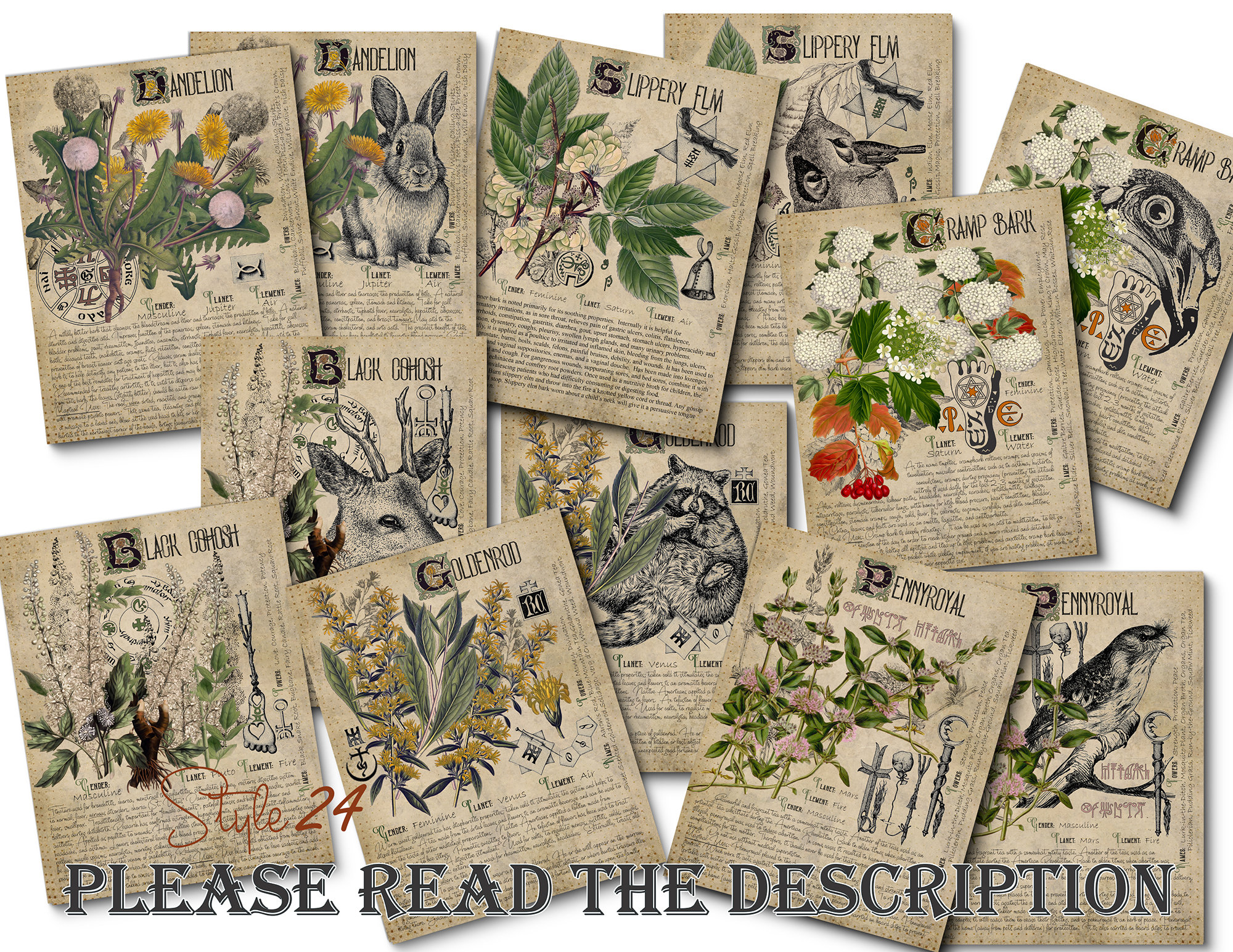 Grimoire Herbal Pages No.16, Witchcraft, Printable Book of Shadows, BOS, Digital Download of Plants, Spell, Herb Profiles, Green Witch