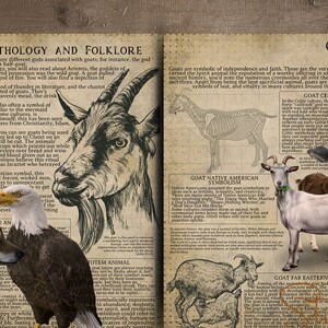 May include: An open book with text and illustrations about goat mythology and folklore. Images of a goat, deer, wolf, eagle, horse, and owl are featured. The text includes information on symbolism and cultural significance.