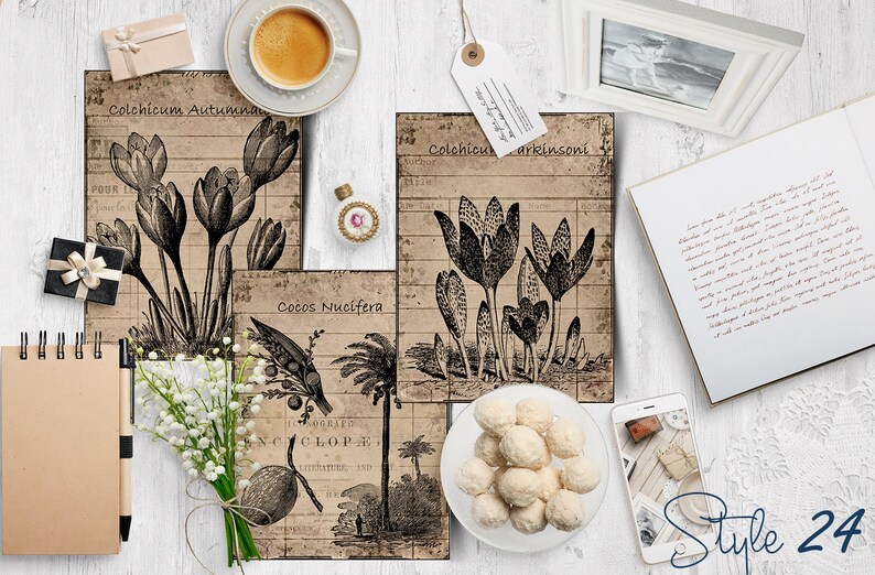May include: Three vintage botanical illustrations on a brown background. The illustrations feature a close-up of a plant with the text "Colchicum Autumnale", a close-up of a plant with the text "Colchicum Parkinsonii", and a close-up of a plant with the text "Cocos Nucifera".