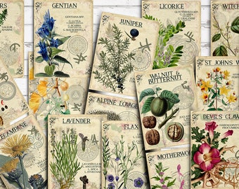 Herbal Index Journaling Cards No.3, Apothecary Ephemera (Digital Collage)