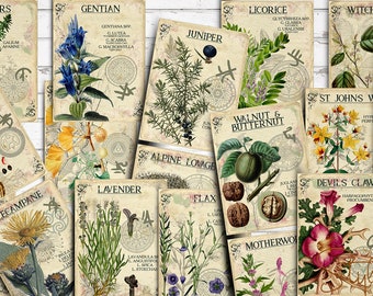 Vol 3 Herbal Index, Double Sided Scrapbook Ephemera 3x4 Journaling Cards, Digital Collage,printable Apothecary, Medicinal Herbal, Herbarium