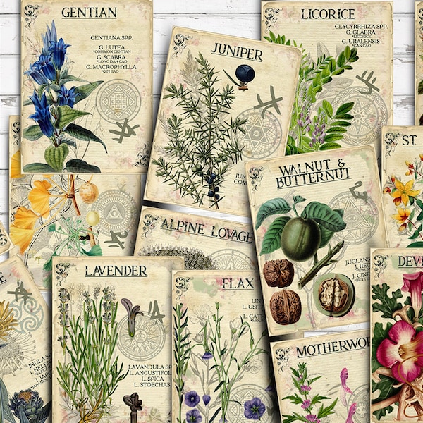 Vol 3 Herbal Index, Double Sided Scrapbook Ephemera 3x4 Journaling Cards, Digital Collage,printable Apothecary, Medicinal Herbal, Herbarium