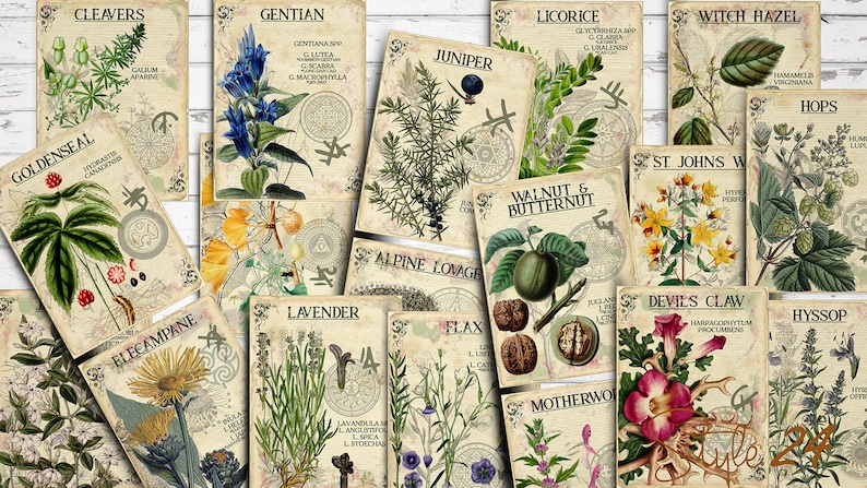 Vol 3 Herbal Index, Double Sided Scrapbook Ephemera 3x4 Journaling Cards, Digital Collage,printable Apothecary, Medicinal Herbal, Herbarium image 1